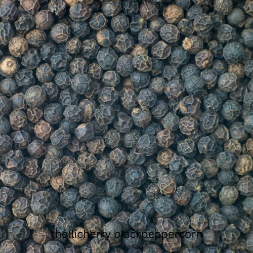 Authentic Organic Tellicherry Black Pepper from Wayanad